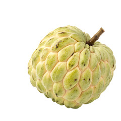Fototapeta premium A large, green sugar apple or custard apple fruit with a scaly skin texture and a small brown stem