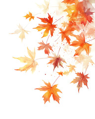 Fototapeta premium Highly detailed illustrations of various trees, leaves, grasses, and botanical elements, featuring realistic, minimalist, and abstract compositions on a white background.