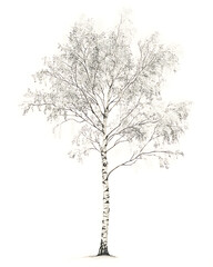 Obraz premium Highly detailed illustrations of various trees, leaves, grasses, and botanical elements, featuring realistic, minimalist, and abstract compositions on a white background.