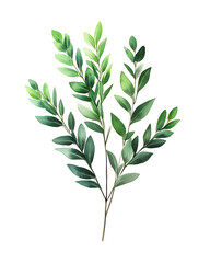 Fototapeta premium Highly detailed illustrations of various trees, leaves, grasses, and botanical elements, featuring realistic, minimalist, and abstract compositions on a white background.