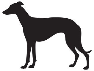 GREYHOUND DOG SILHOUETTE