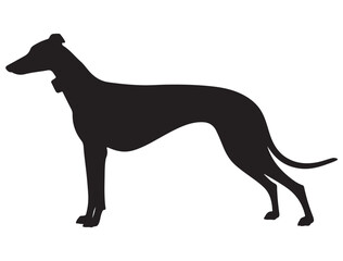 GREYHOUND DOG SILHOUETTE