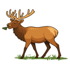 deer animal cartoon vector illustration
