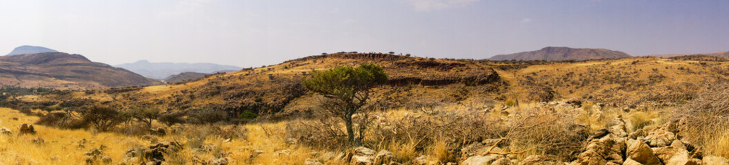 Panorama landscape of dry stony hills and a single tree in Namibia near Remhoogte Pass