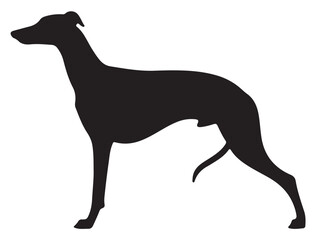 GREYHOUND DOG SILHOUETTE