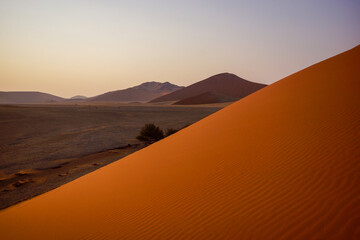 View from Dune 45 at dawn, Sossusvlei, Namib-Naukluft, Namibia