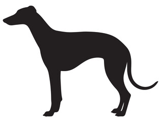 GREYHOUND DOG SILHOUETTE