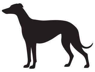 GREYHOUND DOG SILHOUETTE