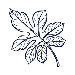 Leaf line icon vector. leaf icon, leaf art. Adobe Illustrator Artwork