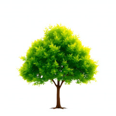 tree isolated on white background
