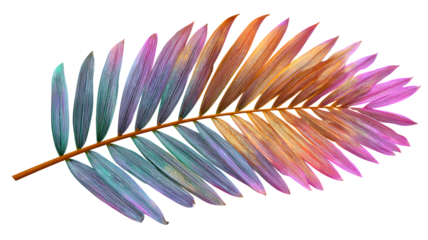 Colorful palm leaf illustration against a modern geometric background ideal for tropical designs and artistic compositions