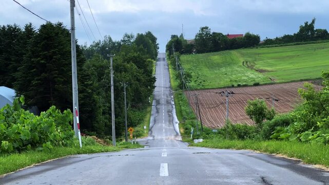 Country road in Hokkaido rises like a roller coaster through lush summer farmland