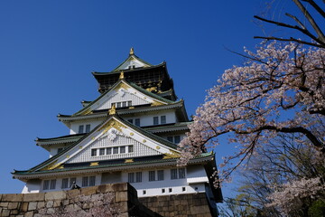 日本、大阪、大阪城、桜、花、金城、大阪城公园、日本の城、特別史跡、輪郭式平城、天守、庭園、春、歷史名勝、綠色、風景、青空、初夏、写真素材	
