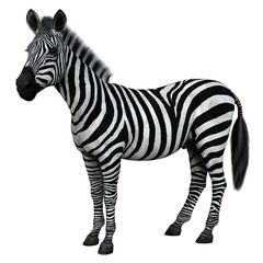 Zebra standing isolated. High resolution 3d render on a transparent background. No AI used