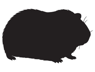 GUINEA PIG SILHOUETTE