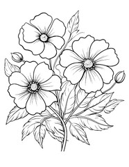 Black and white color pages