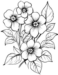 Black and white color pages