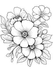 Black and white color pages