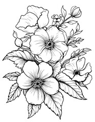 Black and white color pages