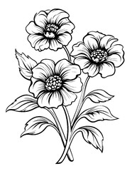 Black and white color pages