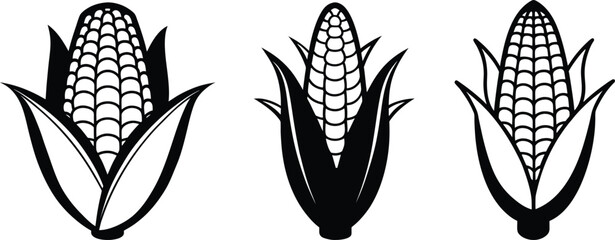 corn vector set black and white art and illustration