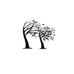 Fototapeta premium A silhouette of windblown trees in a stormy forest on white background