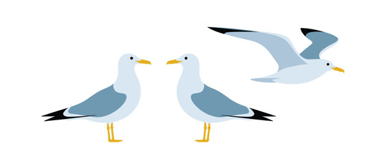 Three Seagulls in Different Poses Simple Illustration
