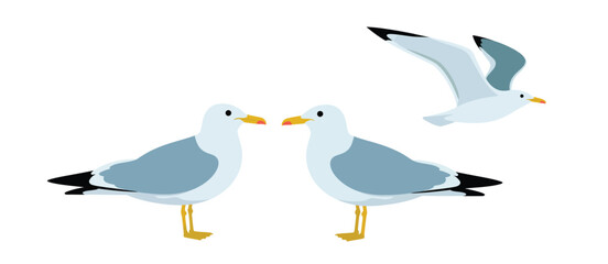 Three Seagulls in Different Poses Illustration