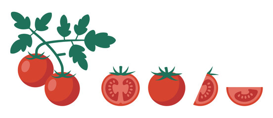 Fresh Red Tomatoes on the Vine with Slices