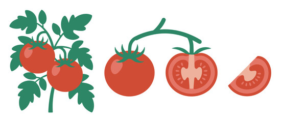 Fresh Tomatoes on the Vine Illustration