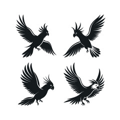 Four black silhouettes of cockatoos in flight