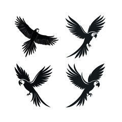 Obraz premium Four black silhouettes of macaws in flight