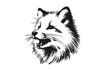 Arctic Fox hand drawn vector illustration