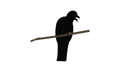 Amazonian trogon bird Silhouette Design  And Vector Illustration. 

