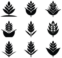 Fototapeta premium Collection of stylized wheat or grain icons