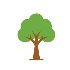 tree with green leaves