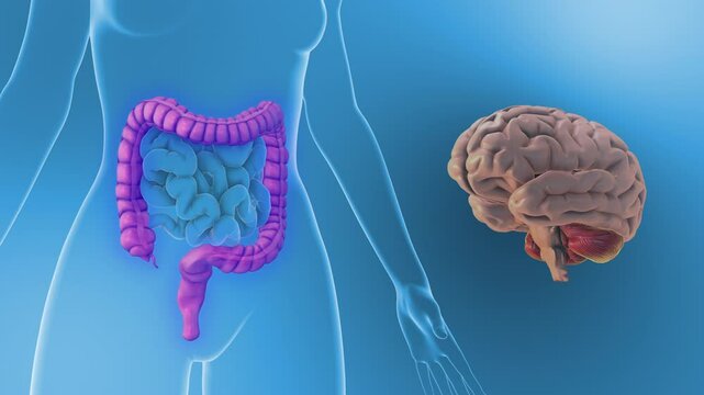 Subconscious Brain Impact on Intestinal Function Triggers IBS