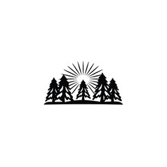 Fototapeta premium summer forest with bright sunlight filtering through silhouette on white background