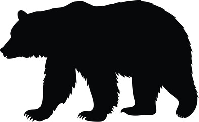 Fototapeta premium Bear silhouette, walking pose, wildlife vector