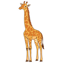 Obraz premium giraffe, animal, vector, transparent background, creature, isolated, zoo, long, giraffa, cute, wildlife, nature, tall, wild, neck, mammal