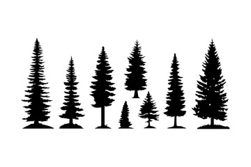 Obraz premium Silhouettes of various coniferous trees in different sizes create natural scene