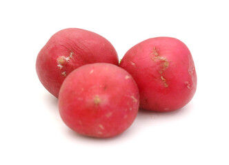 Radish
