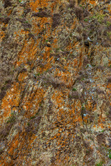 Layered rock formation on rocky hillside with sparse vegetation - full-frame background and texture