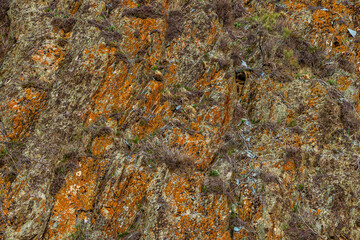 Rugged orange and grey rock formation with plants in crevices - full-frame background and texture