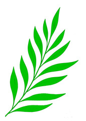 Green Leaf Illustration – Eco-Friendly Botanical Vector Design

