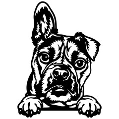Bulldog Dog - Peeking Dog Breed - Pet Dog Vector Portrait, Dog Silhouette Stencil