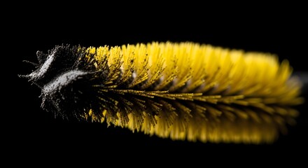 Macro Shot of Yellow Mascara Brush and Black Powder in black background 