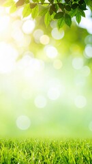 Obraz premium Vibrant green leaves and grass nature scene outdoor environment bright light serenity concept