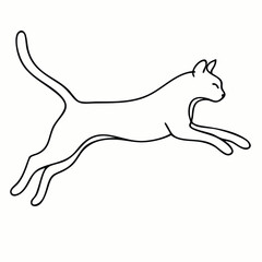 vector illustration of a cheeta
