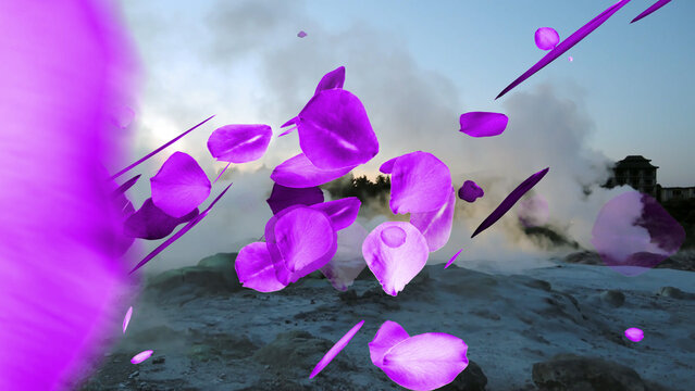 Rose Petals 2 Styles Horizontal Transitions 1 MOGRT 439